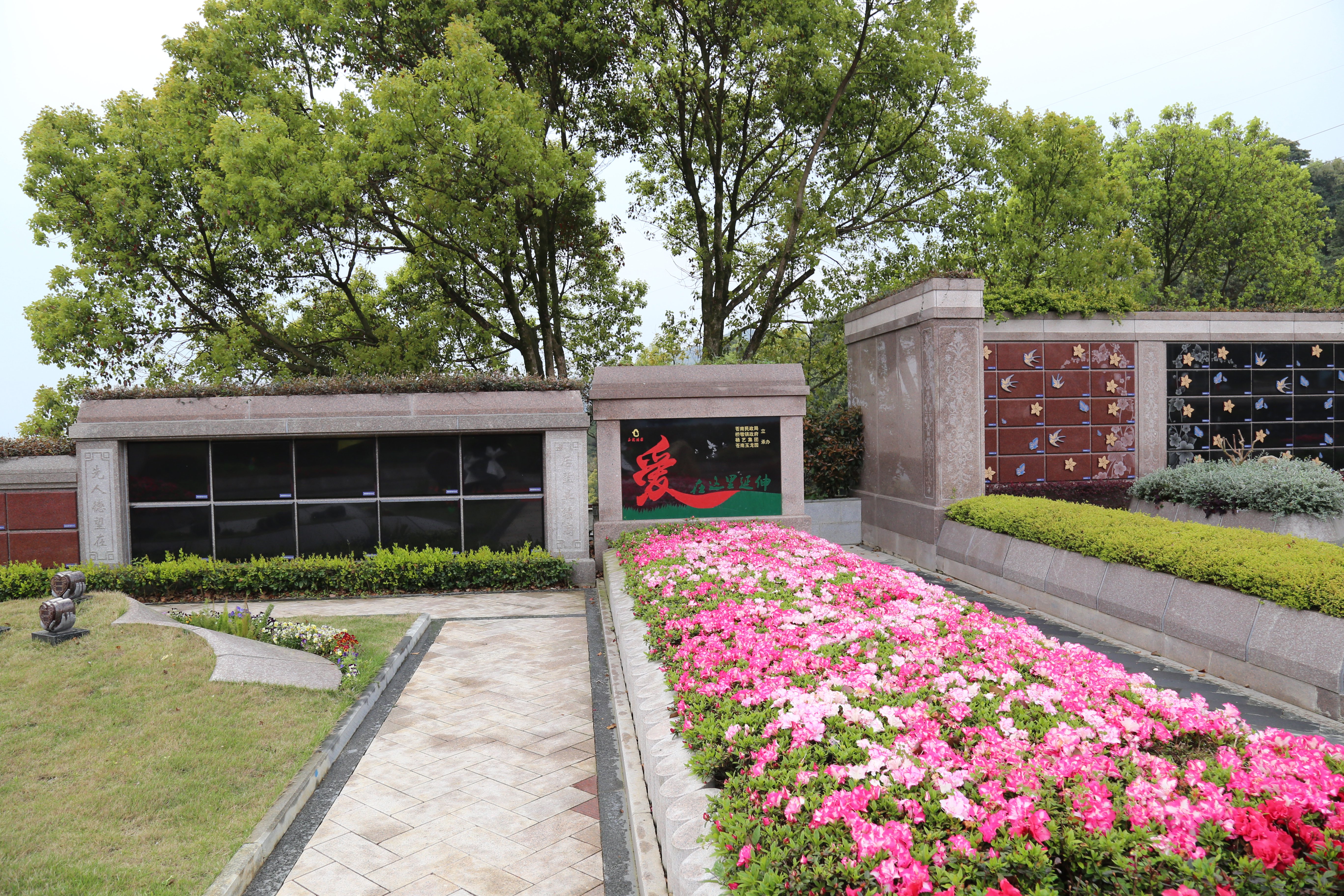 带你了解花葬：环保与浪漫并存的绿色殡葬方式